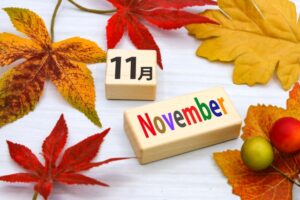 11月